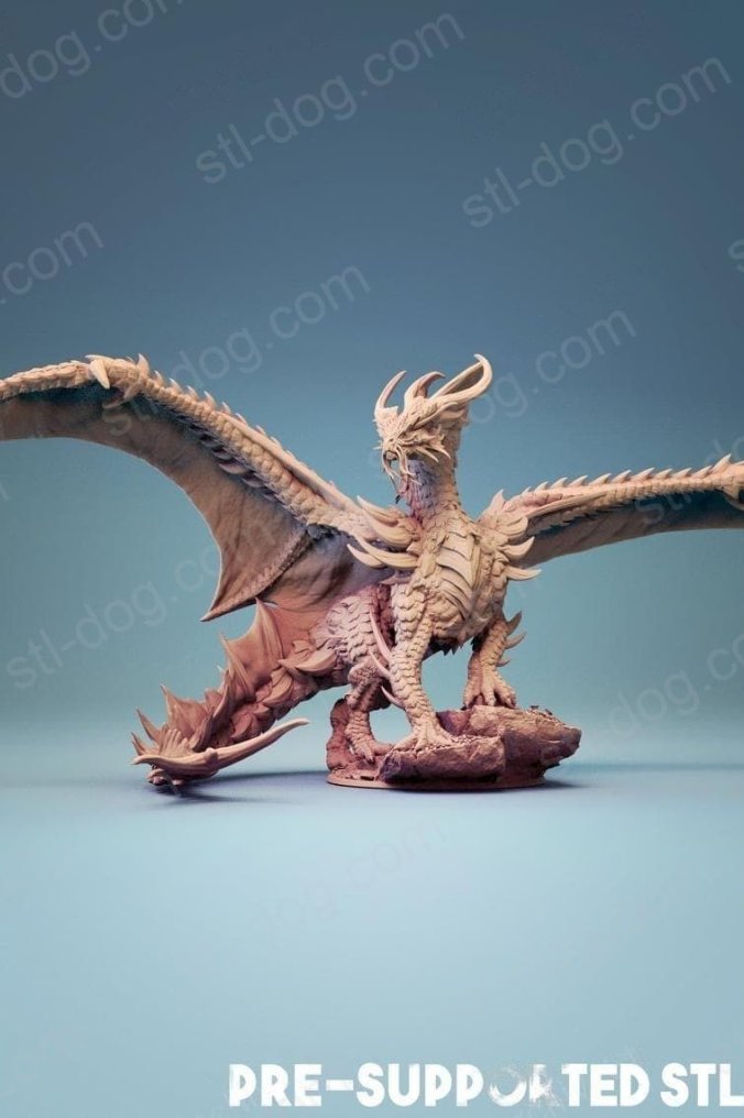金龙 (Gold Dragon) 3D打印图纸